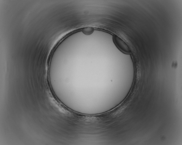 X0000111530940200907281359