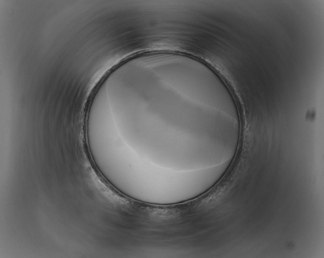 X0000111530941200907281359