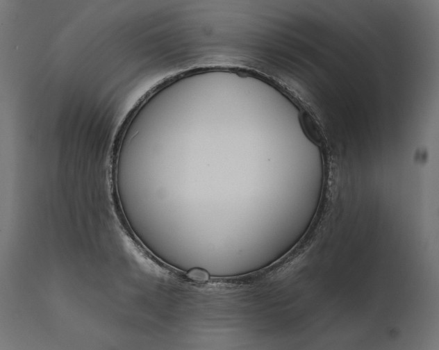 X0000111530942200907281359