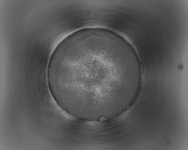 X0000111530943200907281359