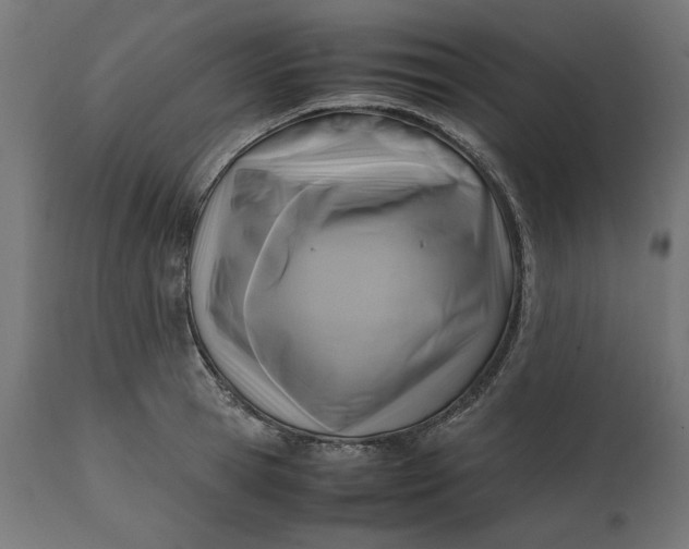 X0000111530945200907281359