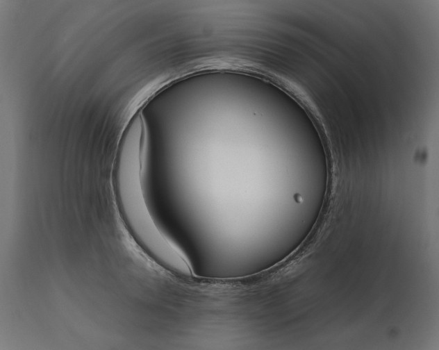 X0000111530946200907281359