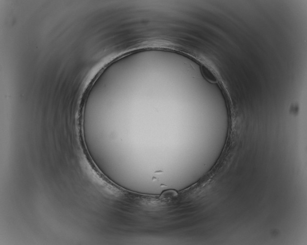 X0000111530947200907281359