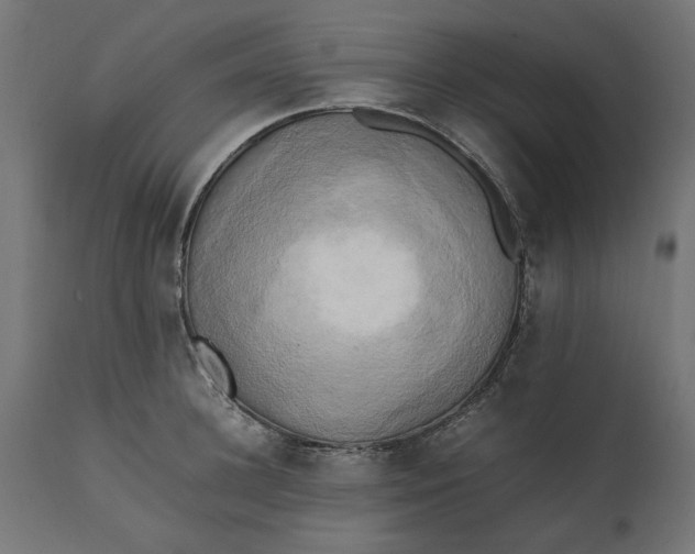 X0000111530948200907281359