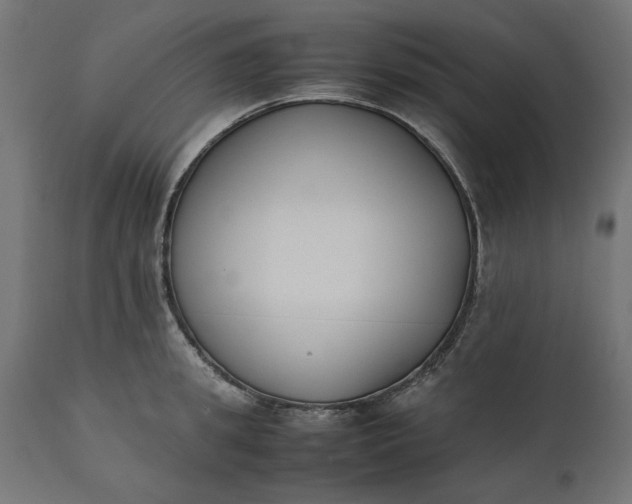 X0000111530949200907281359