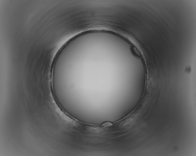 X0000111530951200907281359