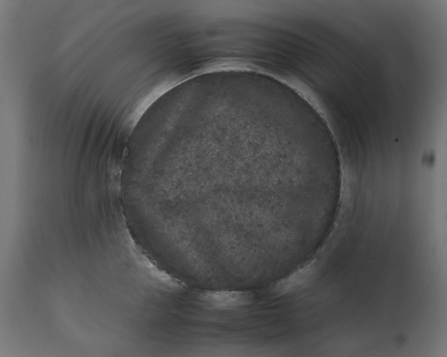 X0000111530953200907281359