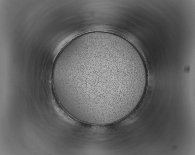 X0000111530954200907281359