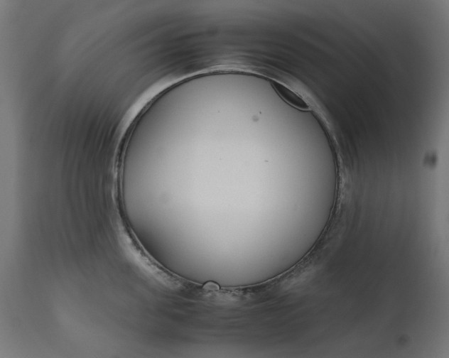 X0000111530955200907281359