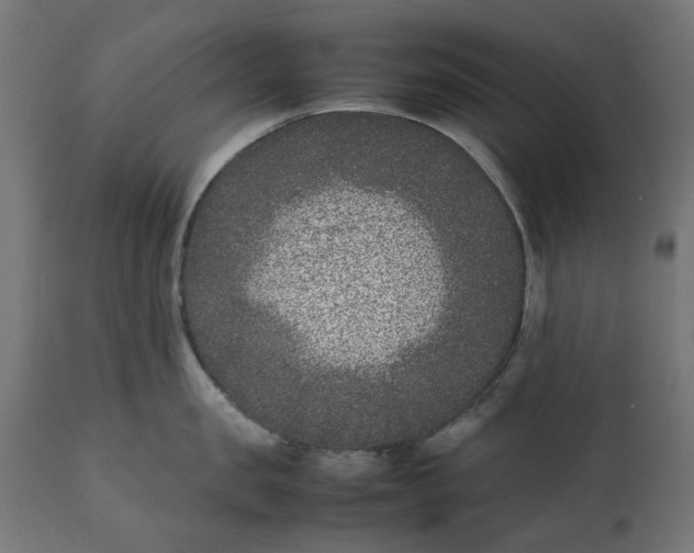 X0000111530957200907281359