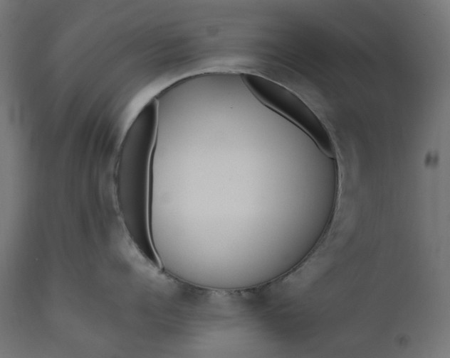 X0000111530960200907281359