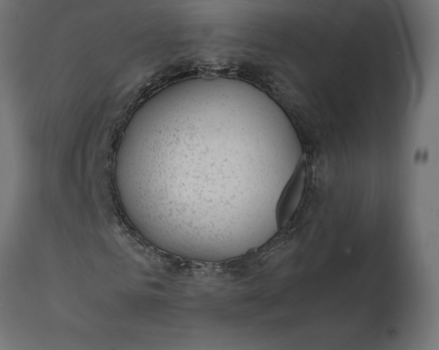 X0000111530961200907281359