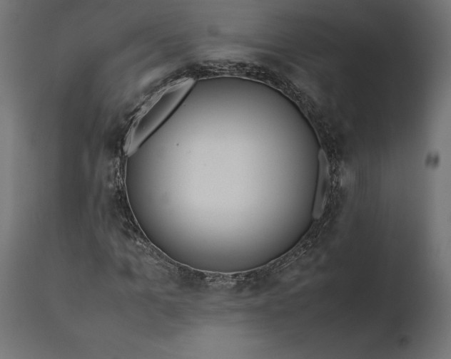 X0000111530965200907281359