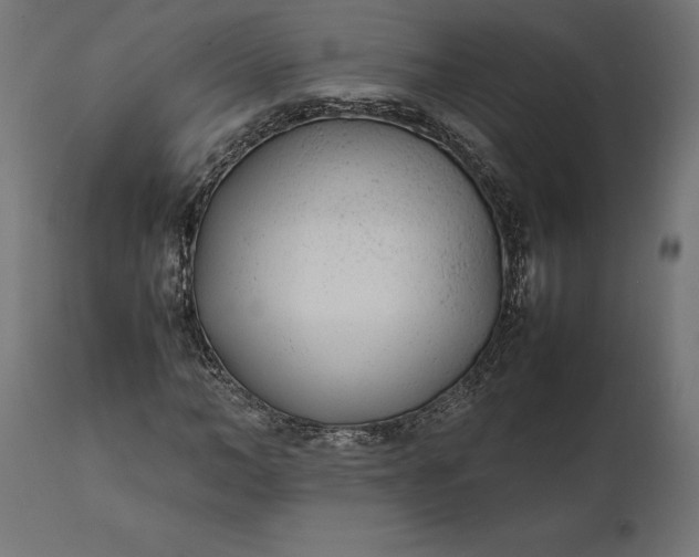 X0000111530966200907281359