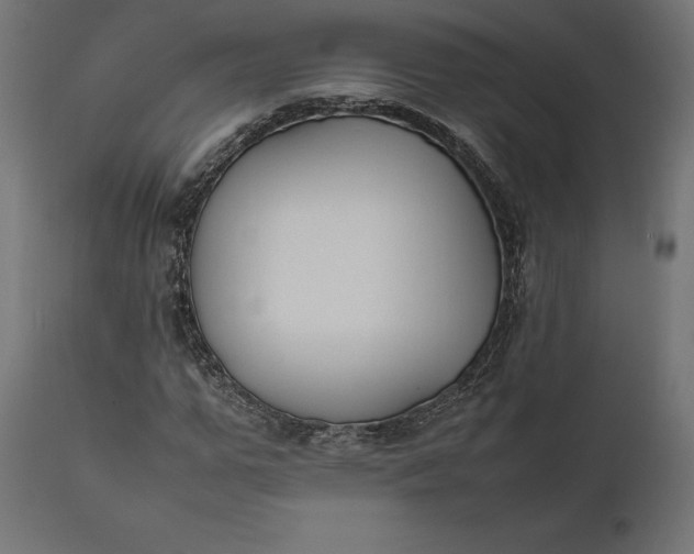 X0000111530967200907281359