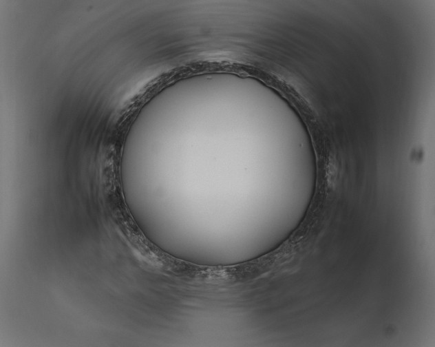 X0000111530968200907281359