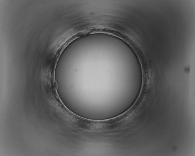 X0000111530969200907281359