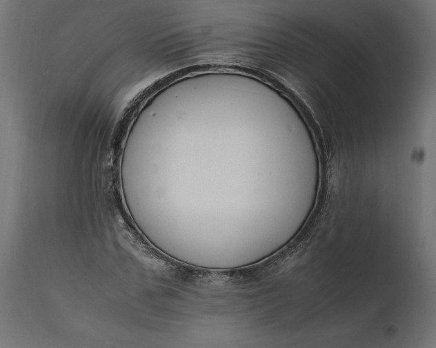 X0000111530971200907281359