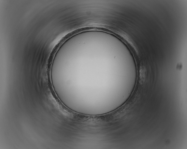 X0000111530972200907281359