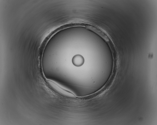 X0000111530973200907281359