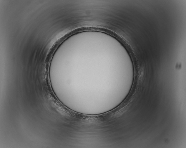 X0000111530974200907281359