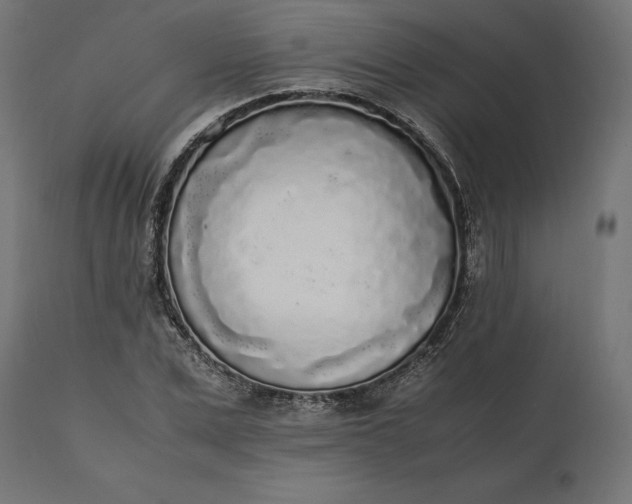 X0000111530975200907281359