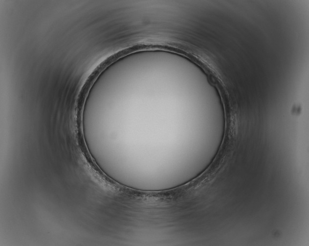 X0000111530976200907281359