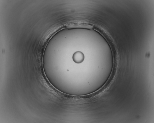 X0000111530977200907281359