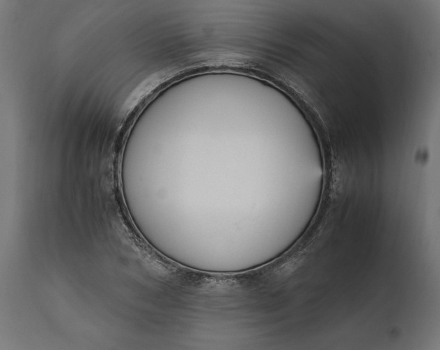 X0000111530978200907281359