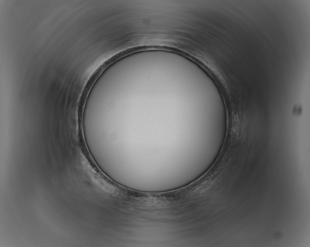 X0000111530980200907281359