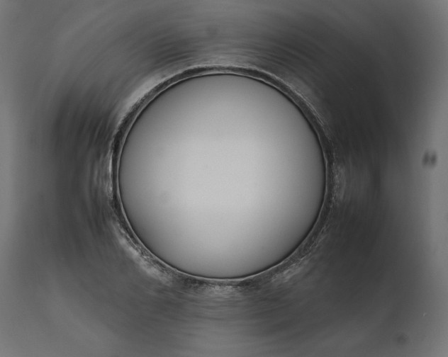 X0000111530982200907281359