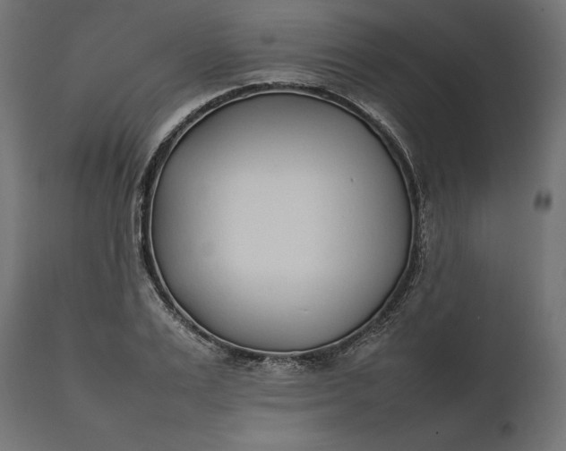 X0000111530983200907281358