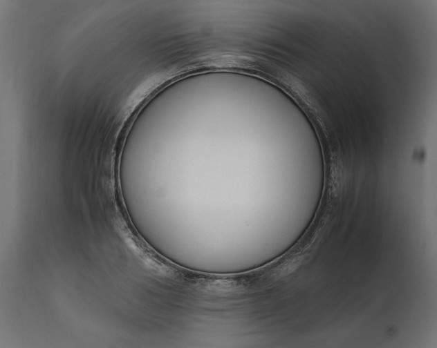 X0000111530986200907281358