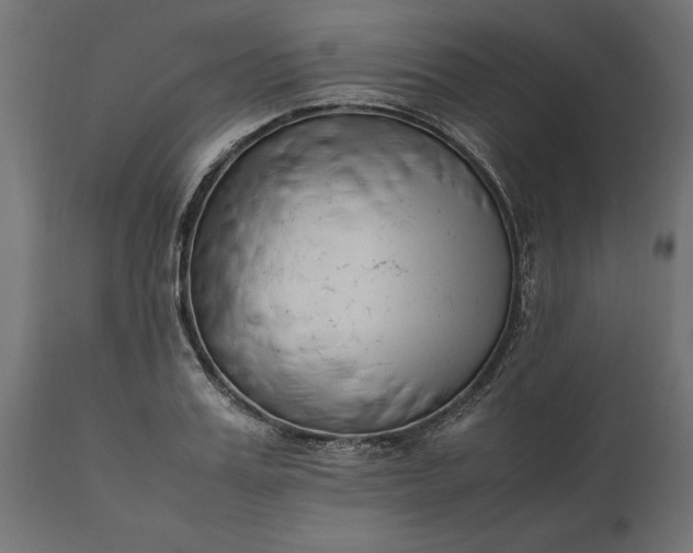 X0000111530987200907281358