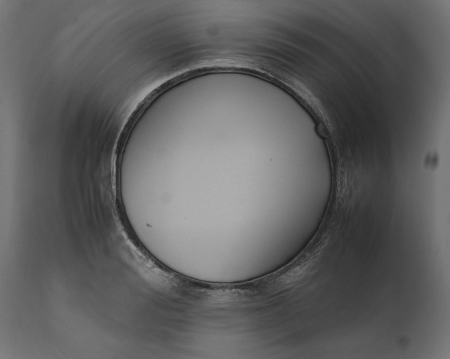 X0000111530988200907281358