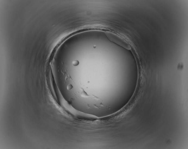 X0000111530989200907281358