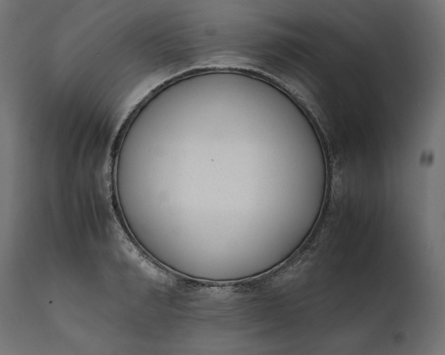 X0000111530990200907281358