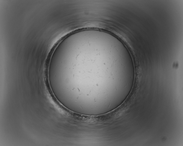 X0000111530991200907281358