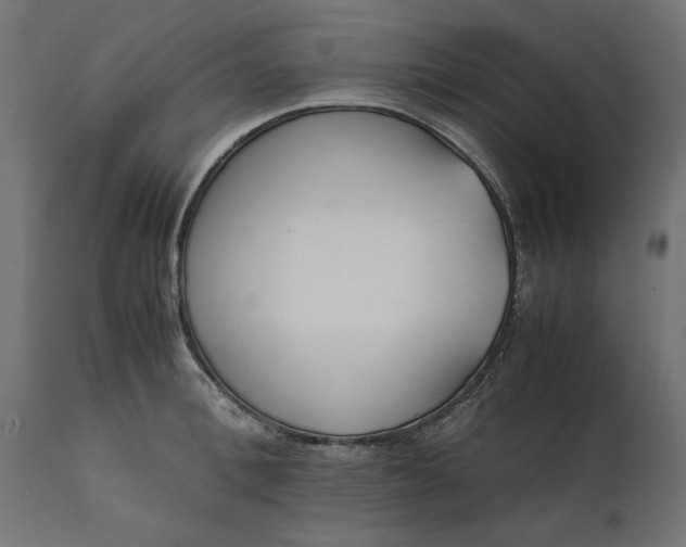 X0000111530996200907281358