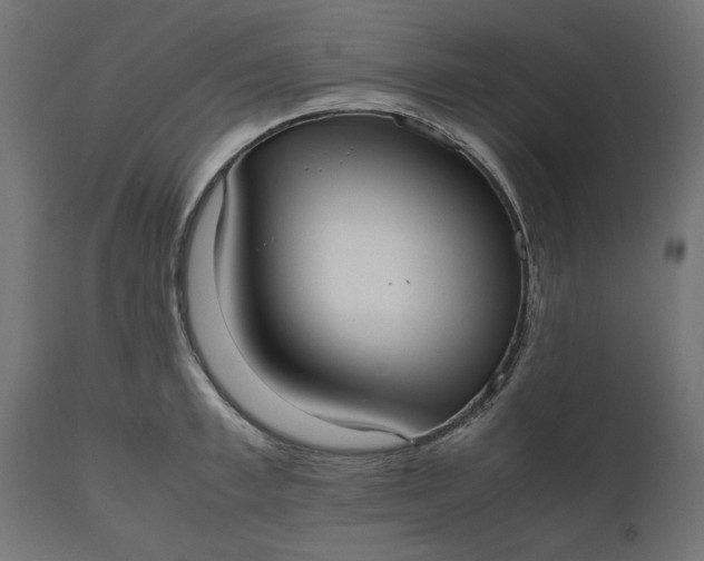 X0000111530997200907281358