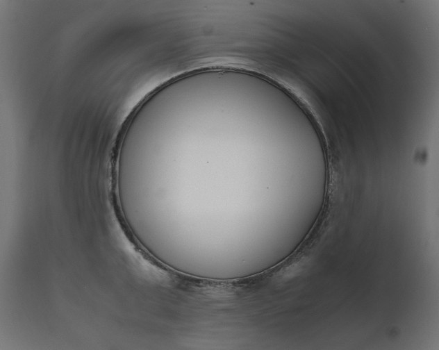 X0000111530999200907281358