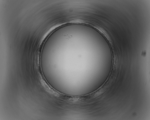 X0000111531000200907281358