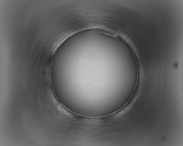 X0000111531001200907281358