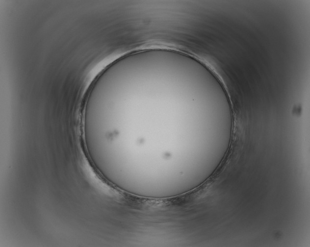 X0000111531003200907281358