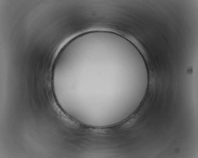 X0000111531004200907281358