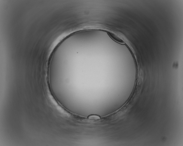 X0000111531005200907281358