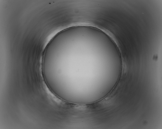 X0000111531006200907281358