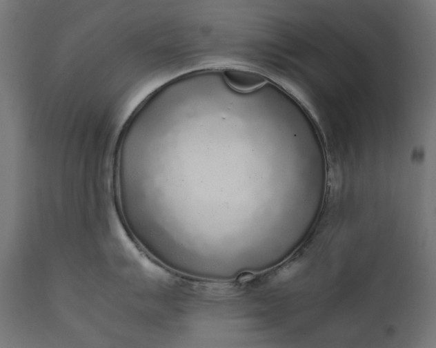 X0000111531007200907281358