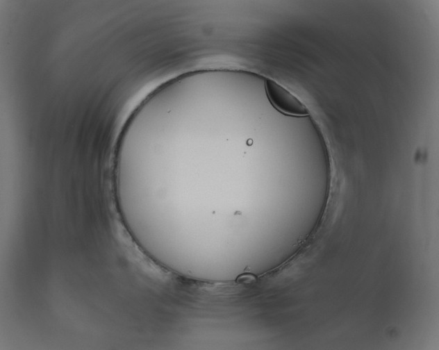 X0000111531008200907281358