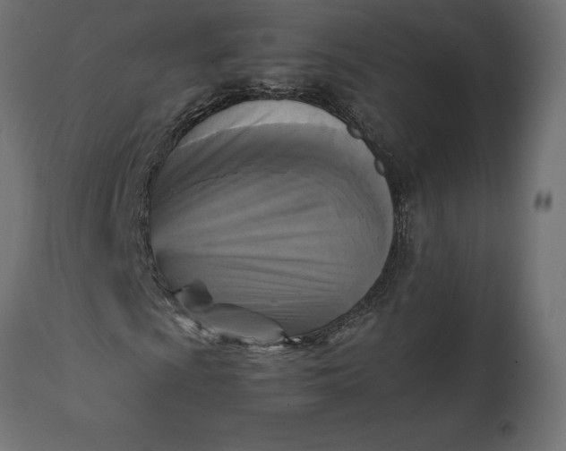 X0000111531009200907281357